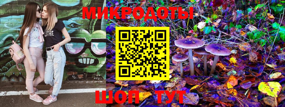 Псилоцибиновые грибы прущие грибы  закладка  Отрадное 